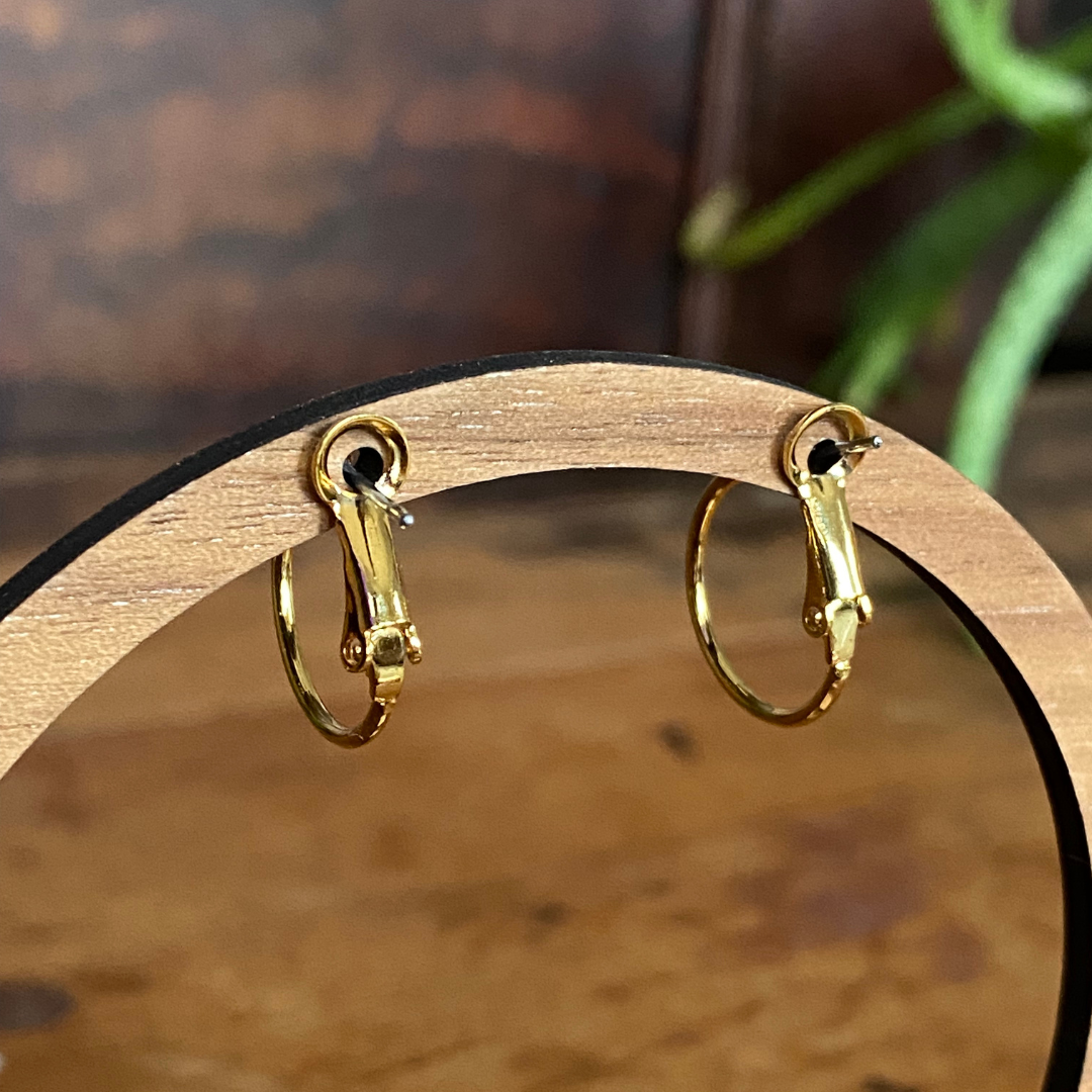 Seeds - Brass Hoop Earrings